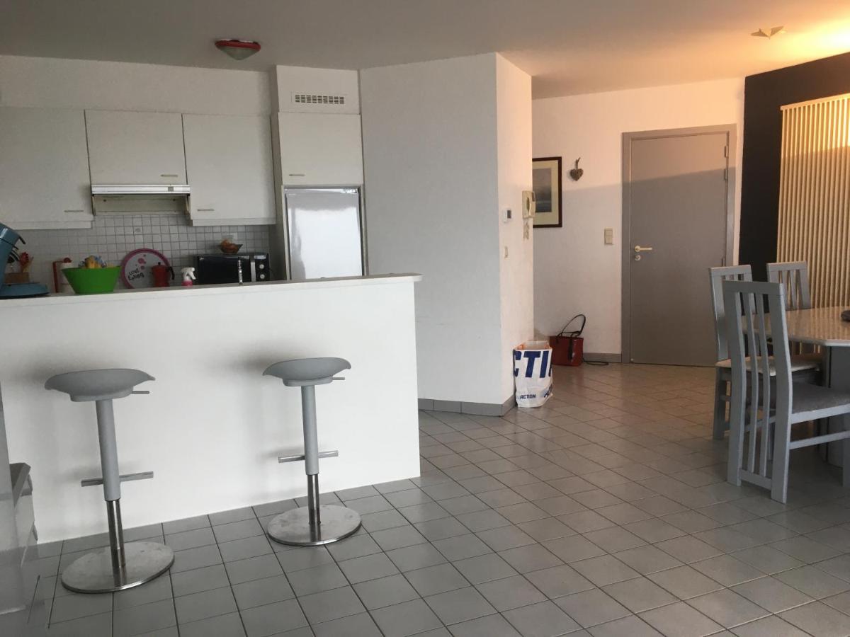 Appartement Spacieux Vue Sur Mer ブランケンベルヘ エクステリア 写真