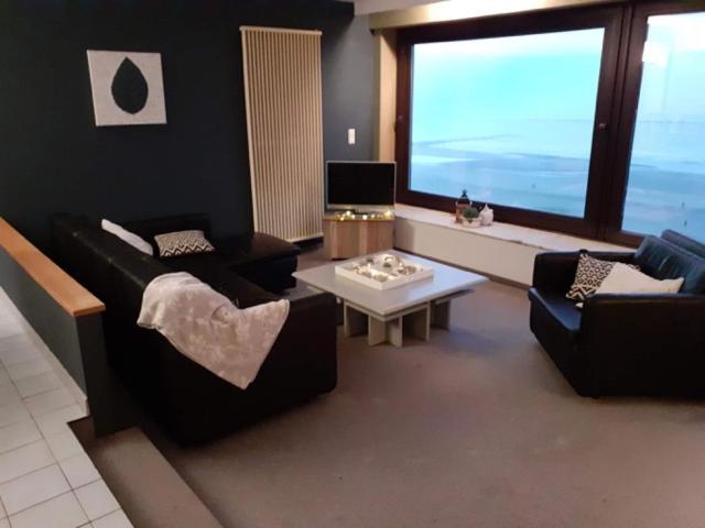 Appartement Spacieux Vue Sur Mer ブランケンベルヘ エクステリア 写真