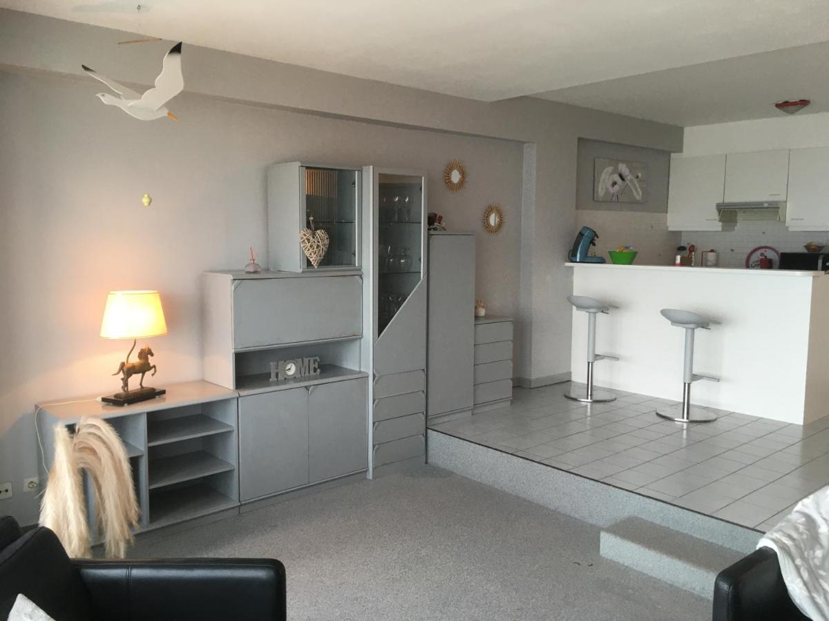 Appartement Spacieux Vue Sur Mer ブランケンベルヘ エクステリア 写真